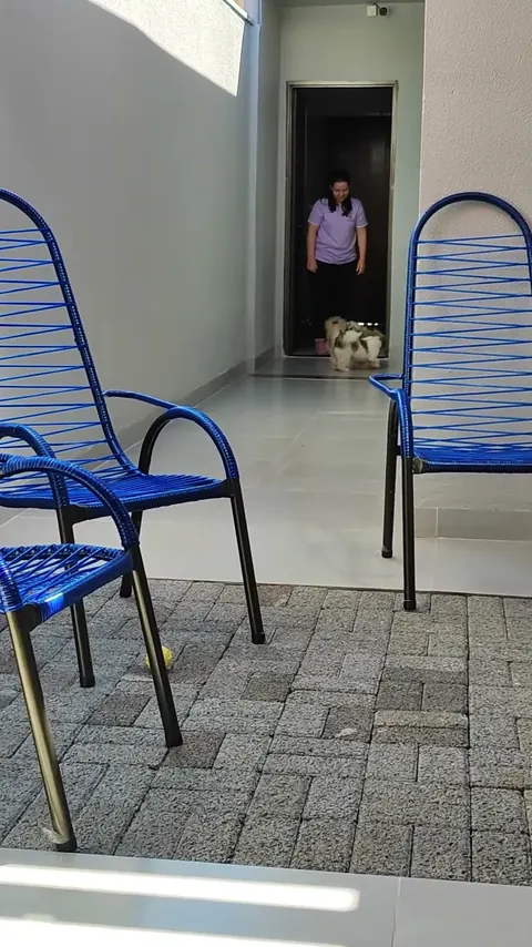 Cena do vídeo: Adoram brincar